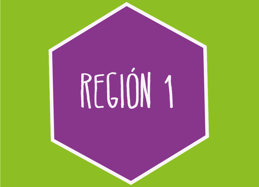 Región 1