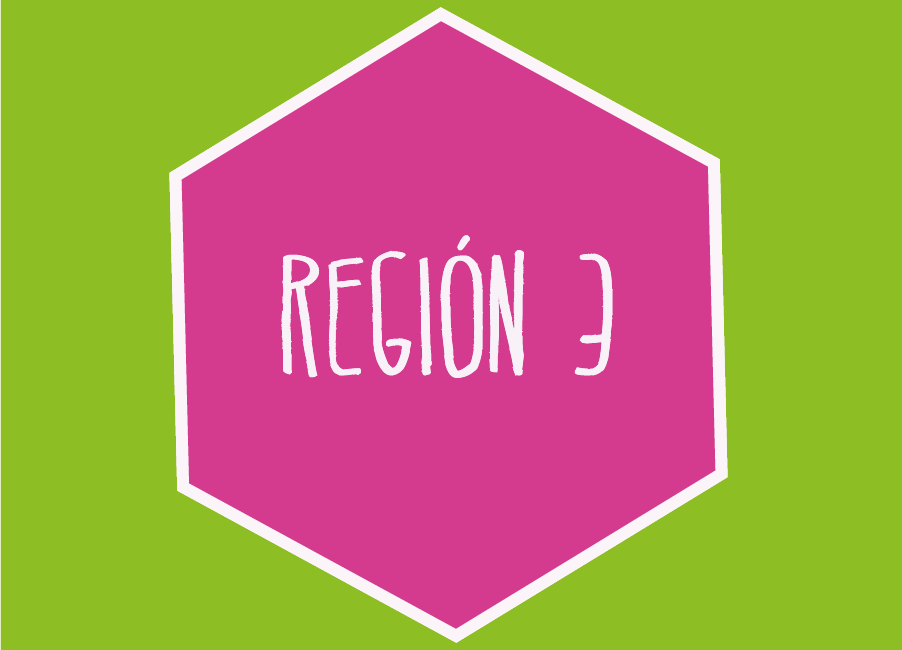 region3