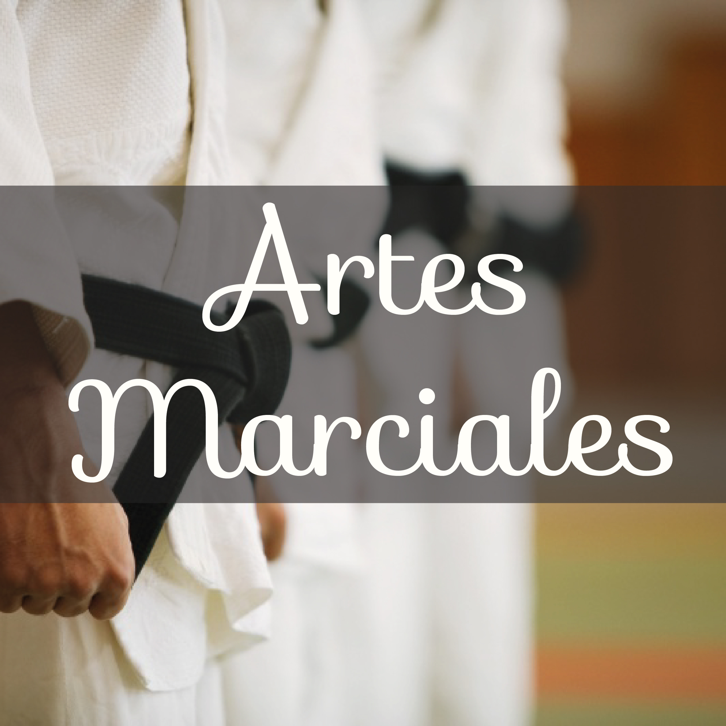 Artes Marciales